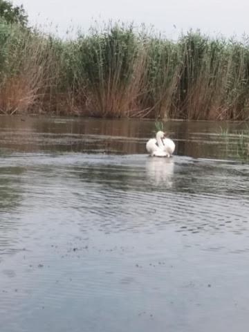 Constantin Si Elena Hotel Dunavăţu de Jos Esterno foto
